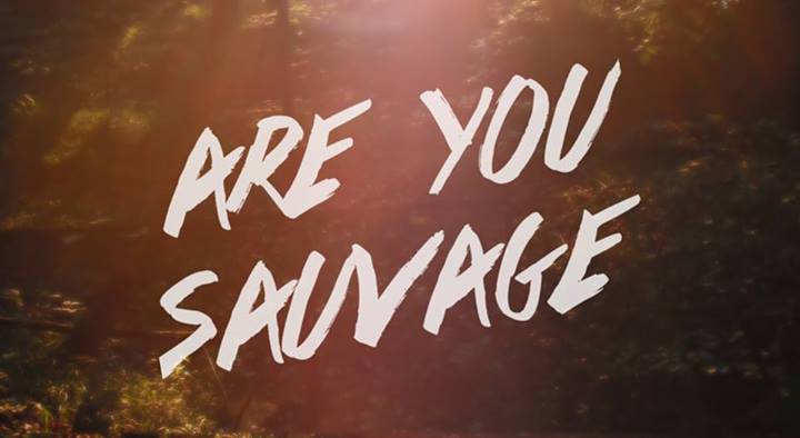 Fakear Are You Sauvage